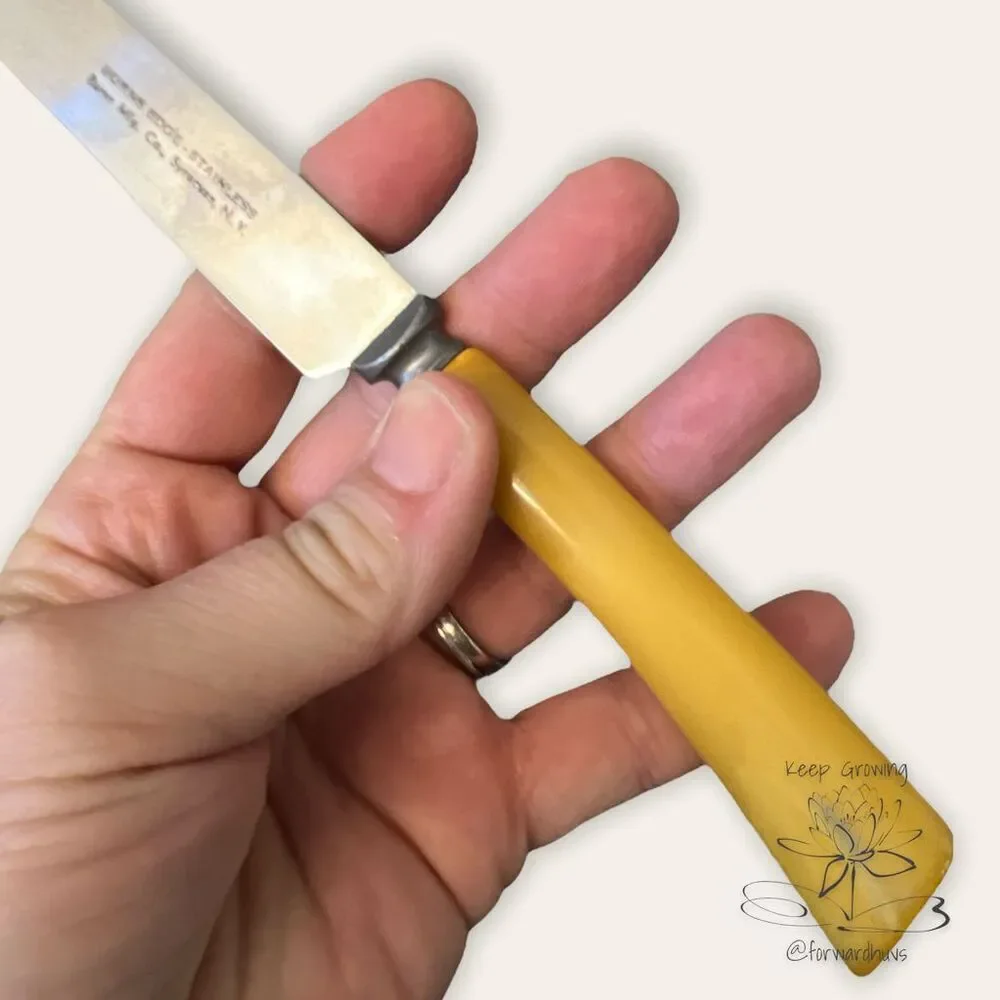 Burns Edge Stainless Knife Set with Butterscotch Bakelite Handles